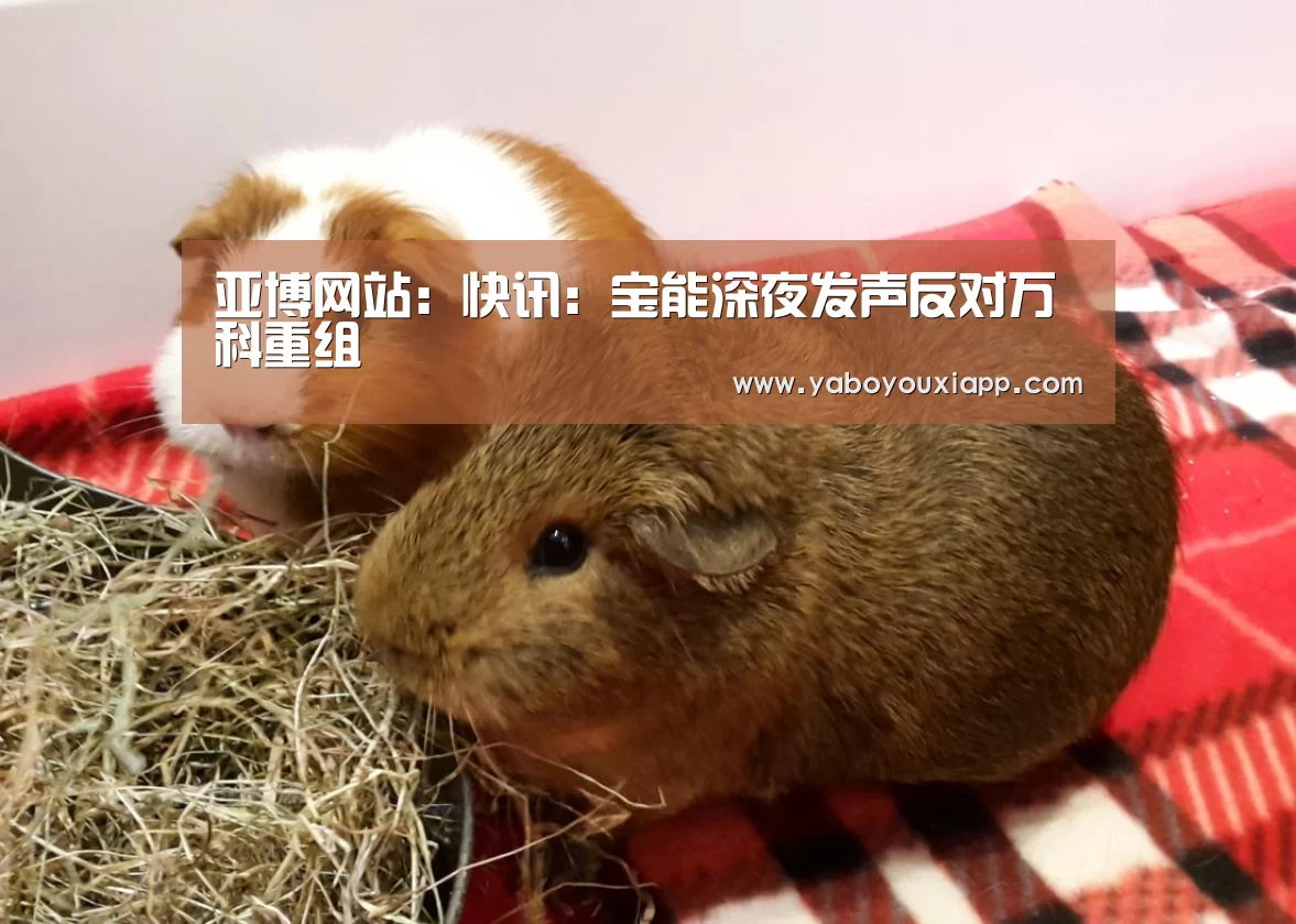 亚博网站:快讯:宝能深夜发声反对万科重组(图2) 亚博数据